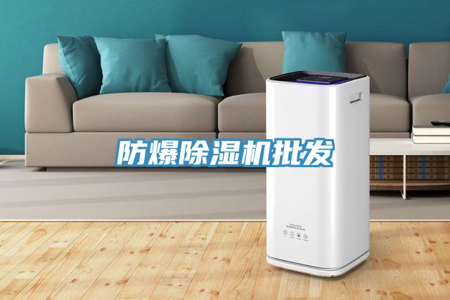 防爆小黄片直播视频批发