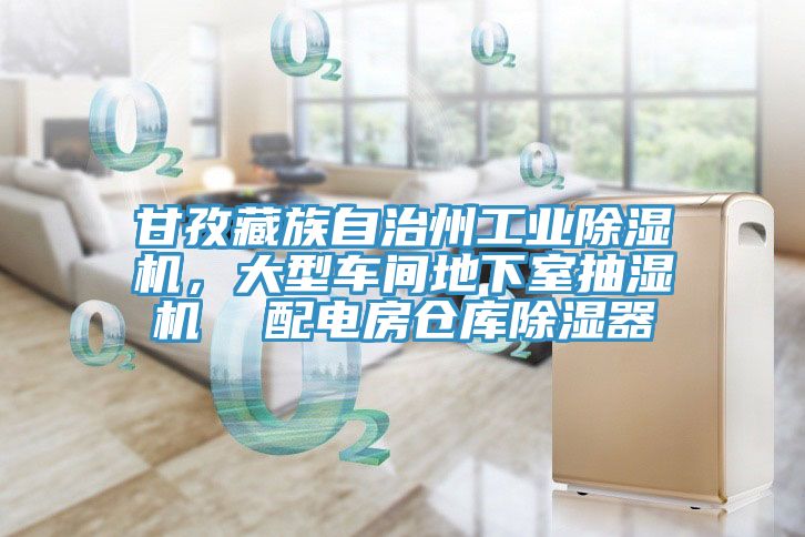 甘孜藏族自治州工业小黄片直播视频，大型车间地下室抽湿机  配电房仓库除湿器