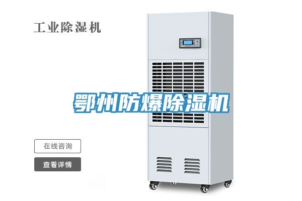 鄂州防爆小黄片直播视频