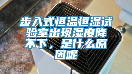 步入式恒温恒湿试验室出现湿度降不下，是什么原因呢