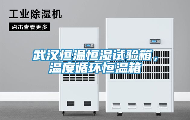 武汉恒温恒湿试验箱，温度循环恒温箱
