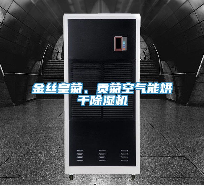 金丝皇菊、贡菊空气能烘干小黄片直播视频
