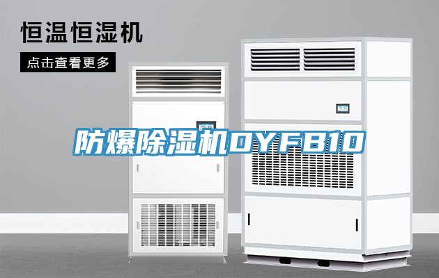 防爆小黄片直播视频DYFB10