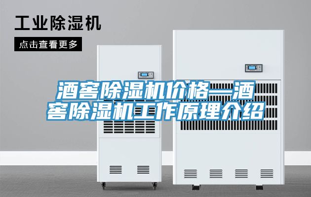 酒窖小黄片直播视频价格—酒窖小黄片直播视频工作原理介绍