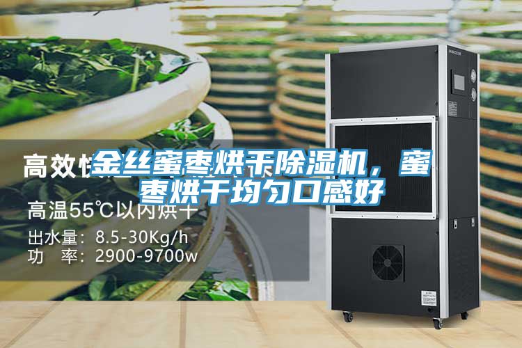金丝蜜枣烘干小黄片直播视频，蜜枣烘干均匀口感好