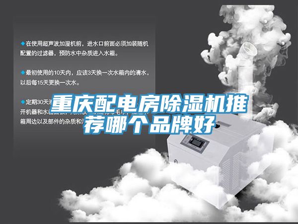 重庆配电房小黄片直播视频推荐哪个品牌好