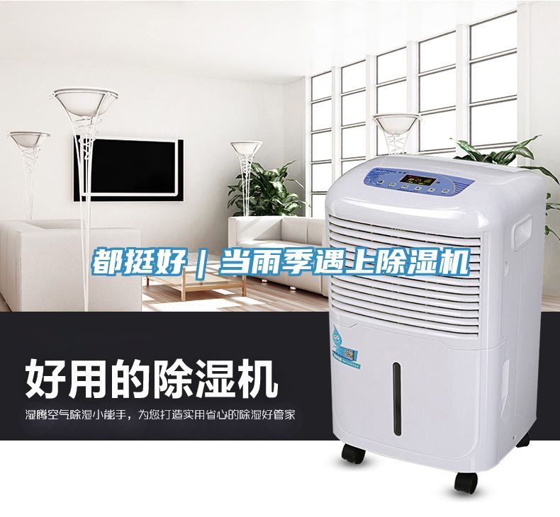 都挺好｜当雨季遇上小黄片直播视频
