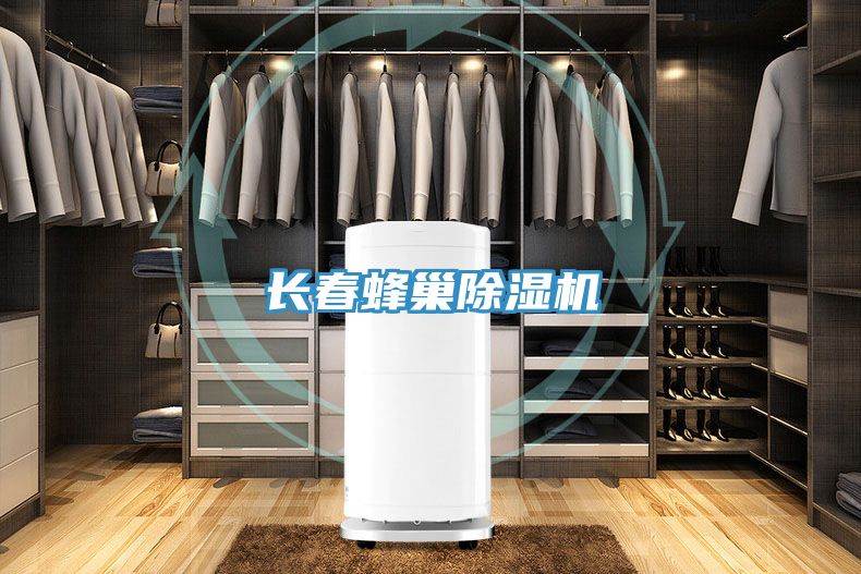 长春蜂巢小黄片直播视频
