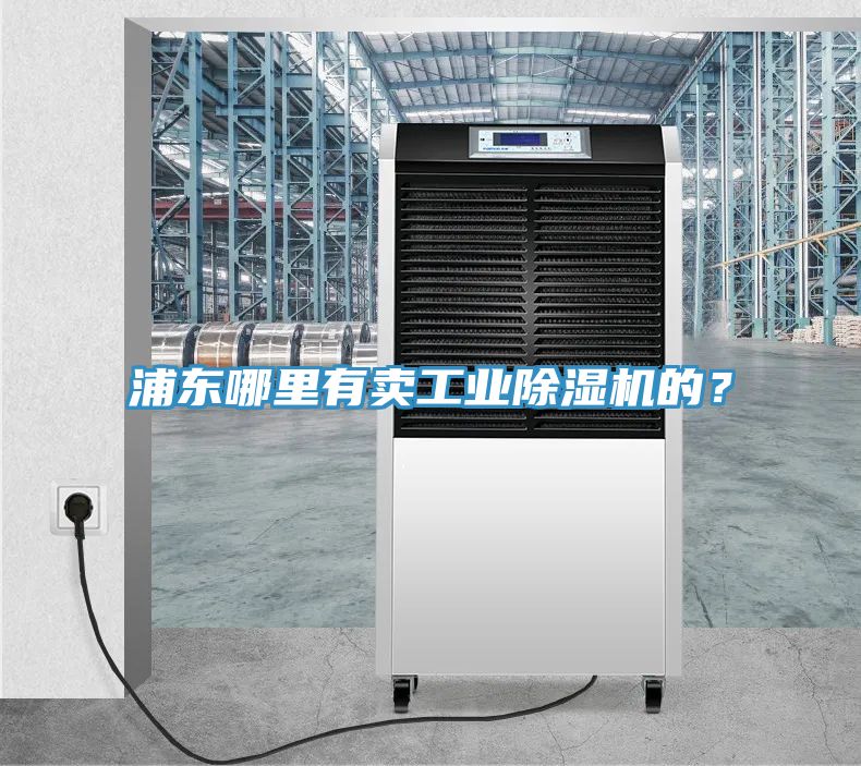浦东哪里有卖工业小黄片直播视频的？