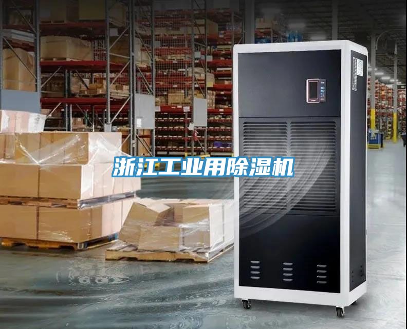 浙江工业用小黄片直播视频