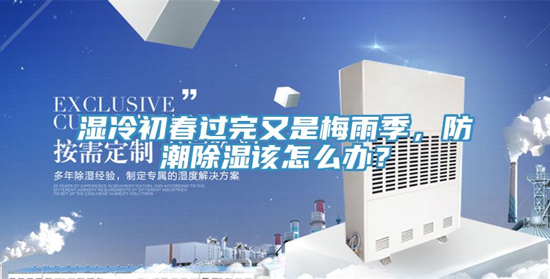 湿冷初春过完又是梅雨季，防潮除湿该怎么办？