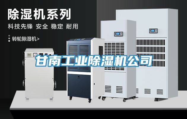 甘南工业小黄片直播视频公司
