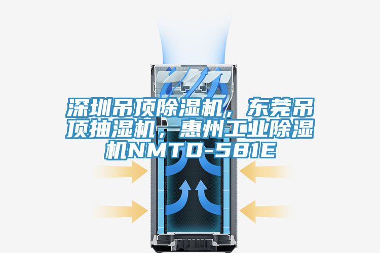 深圳吊顶小黄片直播视频，东莞吊顶抽湿机，惠州工业小黄片直播视频NMTD-581E