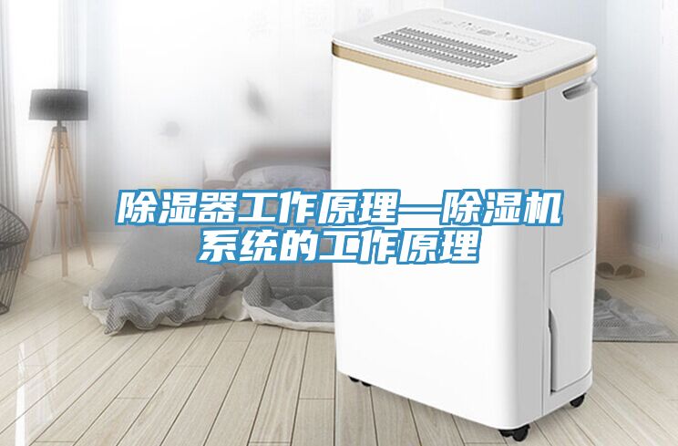 除湿器工作原理—小黄片直播视频系统的工作原理