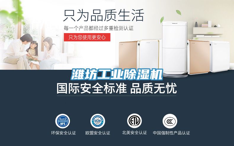 潍坊工业小黄片直播视频