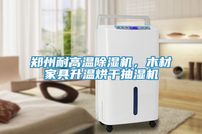 郑州耐高温小黄片直播视频，木材家具升温烘干抽湿机