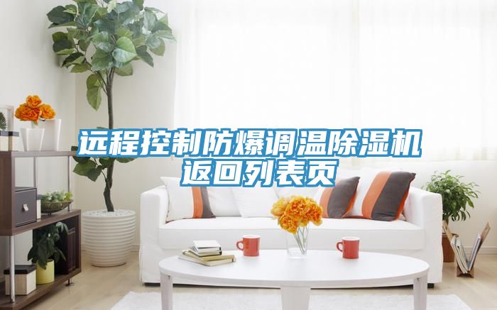 远程控制防爆调温小黄片直播视频 返回列表页