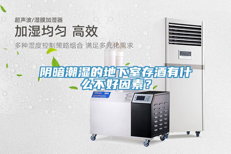 阴暗潮湿的地下室存酒有什么不好因素？