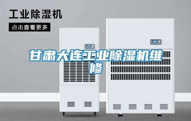 甘肃大连工业小黄片直播视频维修