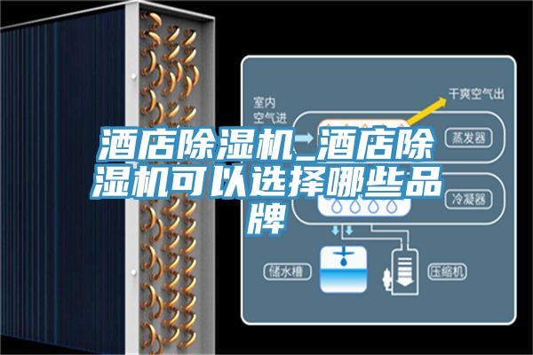 酒店小黄片直播视频_酒店小黄片直播视频可以选择哪些品牌