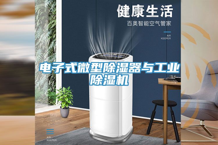 电子式微型除湿器与工业小黄片直播视频