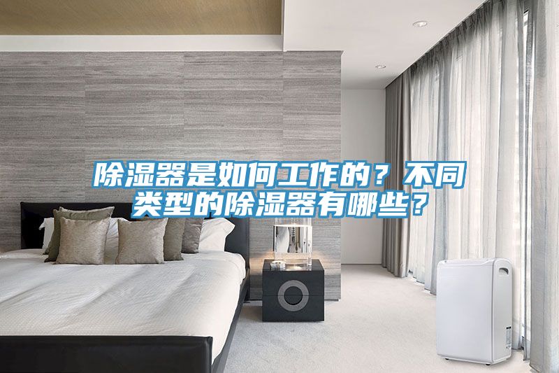 除湿器是如何工作的？不同类型的除湿器有哪些？