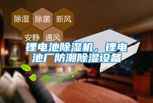 锂电池小黄片直播视频，锂电池厂防潮除湿设备