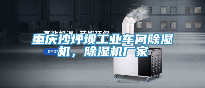 重庆沙坪坝工业车间小黄片直播视频，小黄片直播视频厂家