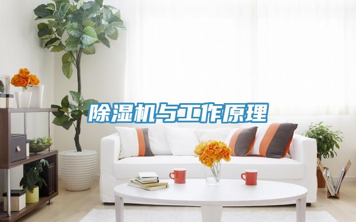 小黄片直播视频与工作原理