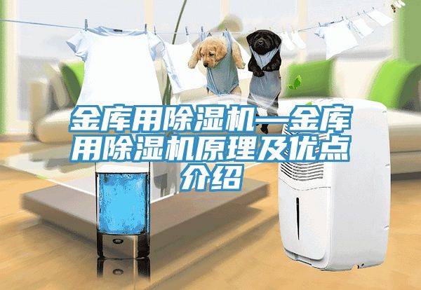 金库用小黄片直播视频—金库用小黄片直播视频原理及优点介绍