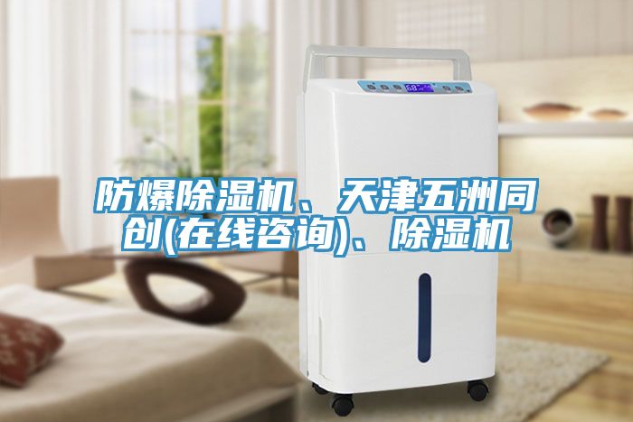 防爆小黄片直播视频、天津五洲同创(在线咨询)、小黄片直播视频