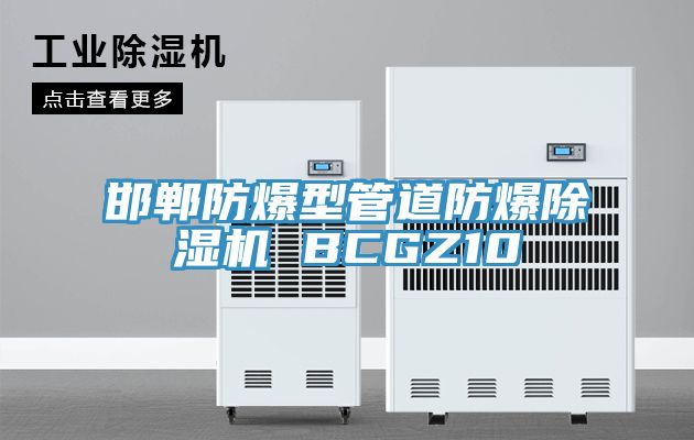 邯郸防爆型管道防爆小黄片直播视频 BCGZ10