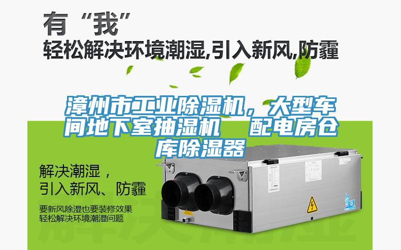 漳州市工业小黄片直播视频，大型车间地下室抽湿机  配电房仓库除湿器