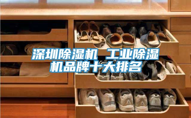 深圳小黄片直播视频 工业小黄片直播视频品牌十大排名