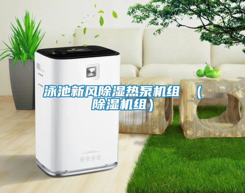 泳池新风除湿热泵机组 （小黄片直播视频组）