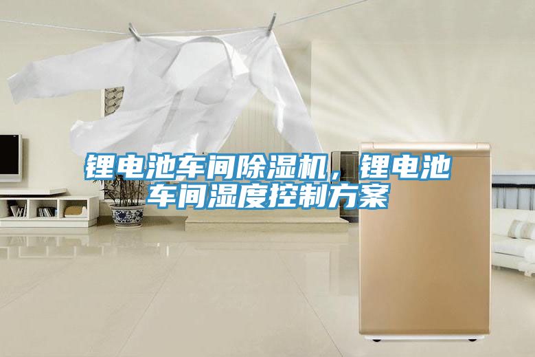 锂电池车间小黄片直播视频，锂电池车间湿度控制方案