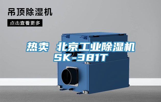 热卖 北京工业小黄片直播视频SK-381T