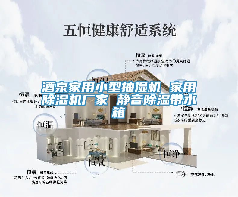 酒泉家用小型抽湿机 家用小黄片直播视频厂家 静音除湿带水箱