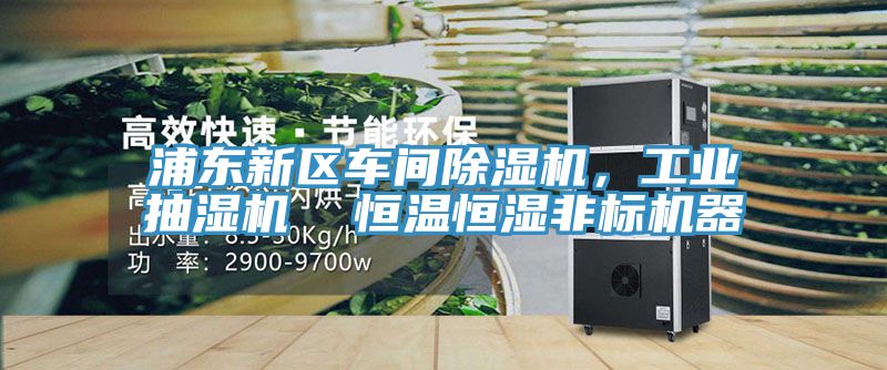 浦东新区车间小黄片直播视频，工业抽湿机  恒温恒湿非标机器