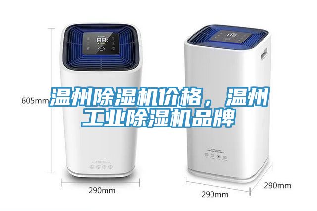 温州小黄片直播视频价格，温州工业小黄片直播视频品牌
