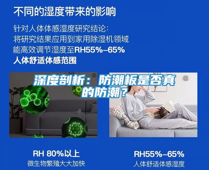 深度剖析：防潮板是否真的防潮？