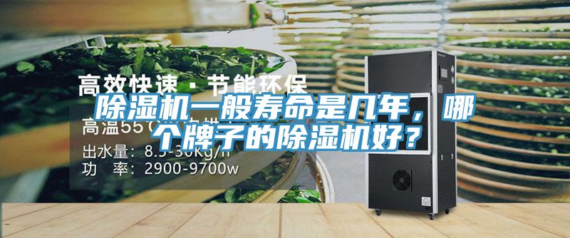 小黄片直播视频一般寿命是几年，哪个牌子的小黄片直播视频好？