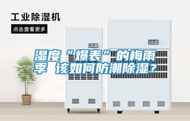 湿度“爆表”的梅雨季 该如何防潮除湿？