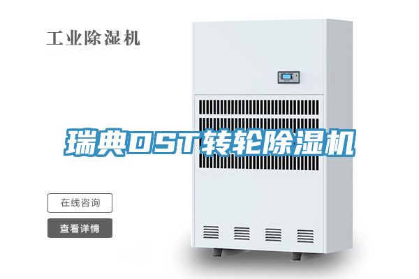 瑞典DST转轮小黄片直播视频
