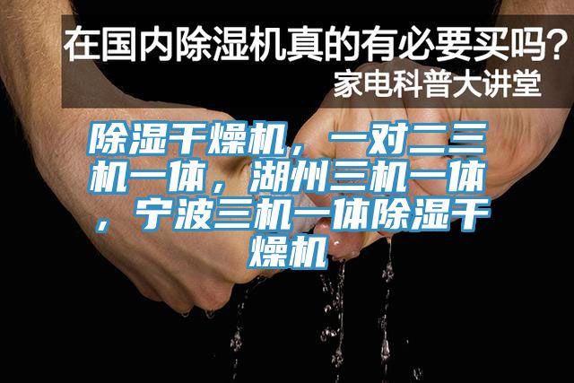 除湿干燥机，一对二三机一体，湖州三机一体，宁波三机一体除湿干燥机
