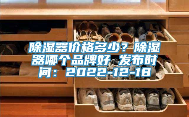 除湿器价格多少？除湿器哪个品牌好 发布时间：2022-12-18