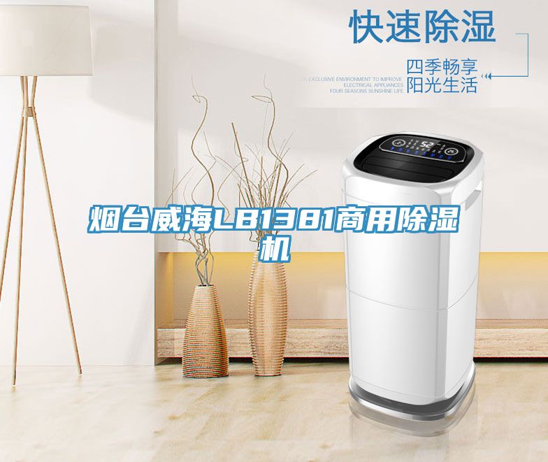 烟台威海LB1381商用小黄片直播视频
