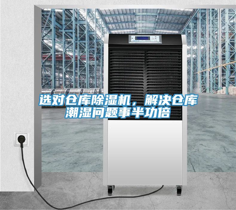 选对仓库小黄片直播视频，解决仓库潮湿问题事半功倍