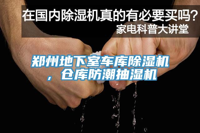 郑州地下室车库小黄片直播视频，仓库防潮抽湿机
