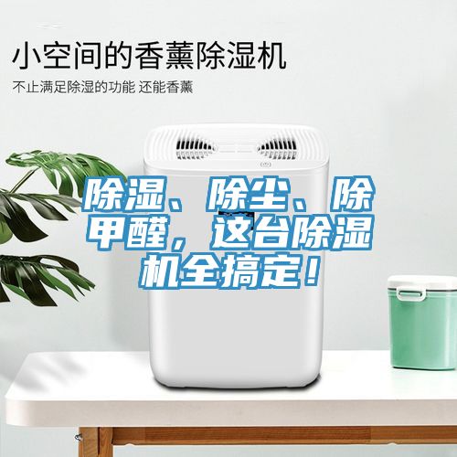 除湿、除尘、除甲醛，这台小黄片直播视频全搞定！